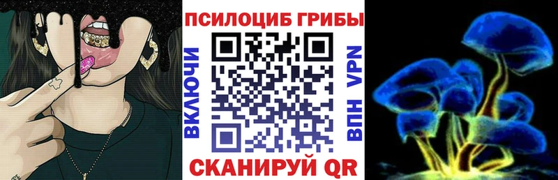 блэк спрут tor  Ивангород  Галлюциногенные грибы прущие грибы 